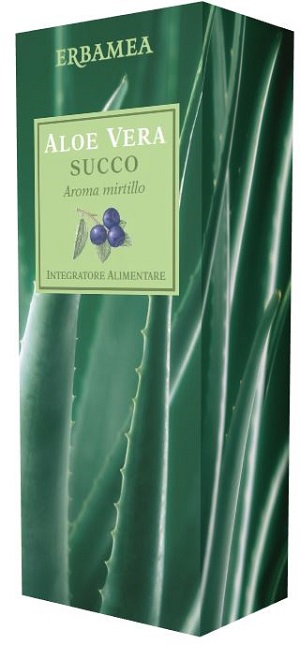 ALOE VERA SUCCO MIRTILLO 500 ML - farmasconti.eu