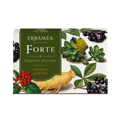 FORTE 24 CAPSULE - farmasconti.eu