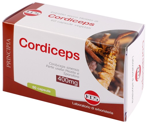 CORDICEPS ESTRATTO SECCO 60 CAPSULE - farmasconti.eu