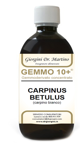 GEMMO 10+ CARPINO BIANCO 500 ML LIQUIDO ANALCOLICO - farmasconti.eu