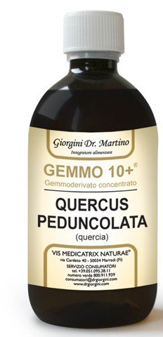 GEMMO 10+ QUERCIA 500 ML LIQUIDO ANALCOLICO - farmasconti.eu