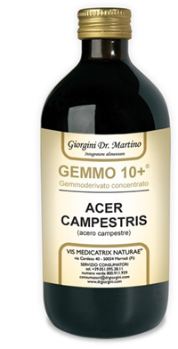 GEMMO 10+ ACERO CAMPESTRE 500 ML LIQUIDO ANALCOLICO - farmasconti.eu