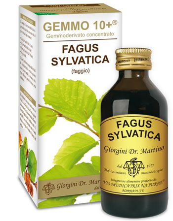 GEMMO 10+ FAGGIO 100 ML LIQUIDO ANALCOLICO - farmasconti.eu