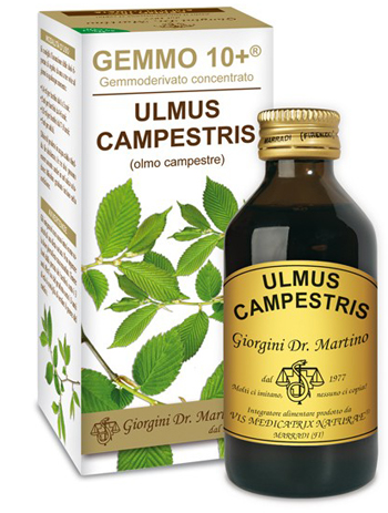 GEMMO 10+ OLMO CAMPESTRE 100 ML LIQUIDO ANALCOLICO - farmasconti.eu