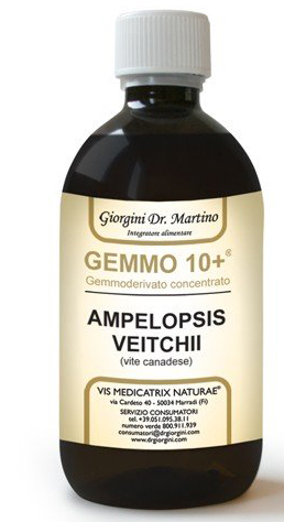 GEMMO 10+ GEMMODERIVATO CONCENTRATO LIQUIDO ANALCOLICO AMPELOPSIS VEITCHI VITE CANADESE 500 ML - farmasconti.eu