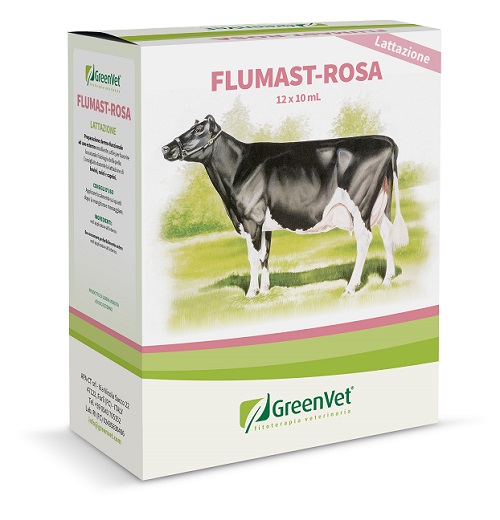 GREENVET FLUMAST ROSA DERM 12 SIRINGHE DA 10 ML - farmasconti.eu