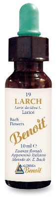 FIORI DI BACH BENOIT LARCH 10 ML - farmasconti.eu