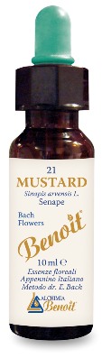 FIORI DI BACH BENOIT MUSTARD 10 ML - farmasconti.eu