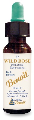 FIORI DI BACH BENOIT WILD ROSE 10 ML - farmasconti.eu