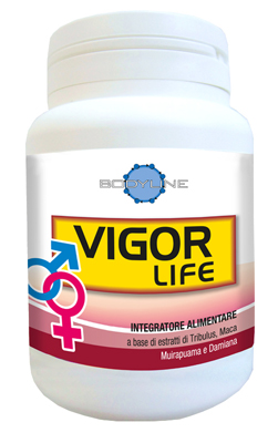 VIGOR LIFE 40 CAPSULE - farmasconti.eu