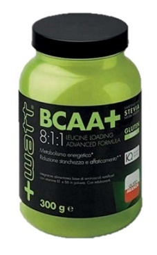 BCAA+ 811 POLVERE ARANCIA 300 G - farmasconti.eu