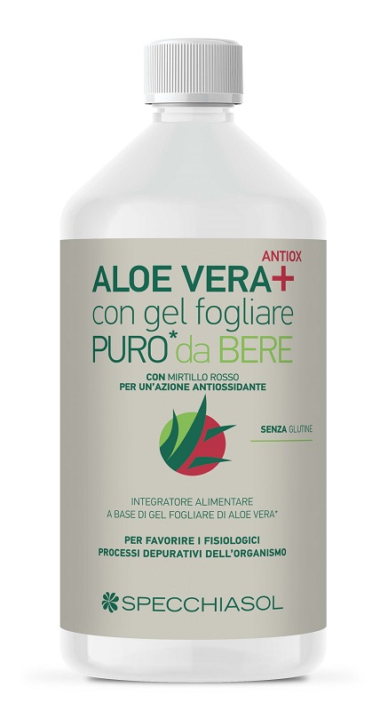 SUCCO ALOEVERA+ ALOE/MIRTILLO ROSSO 1 LITRO - farmasconti.eu
