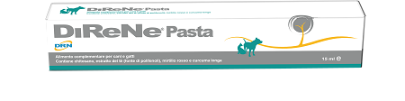 DIRENE PASTA 15 ML - farmasconti.eu