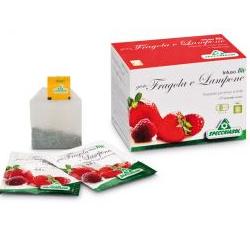 INFUSO BIO FRAGOLA E LAMPONE 20 FILTRI - farmasconti.eu