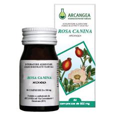 ROSA CANINA 60 CAPSULE - farmasconti.eu
