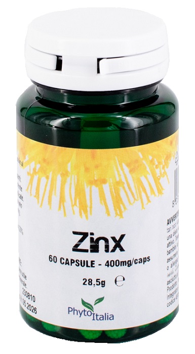 ZINX 60 CAPSULE - farmasconti.eu