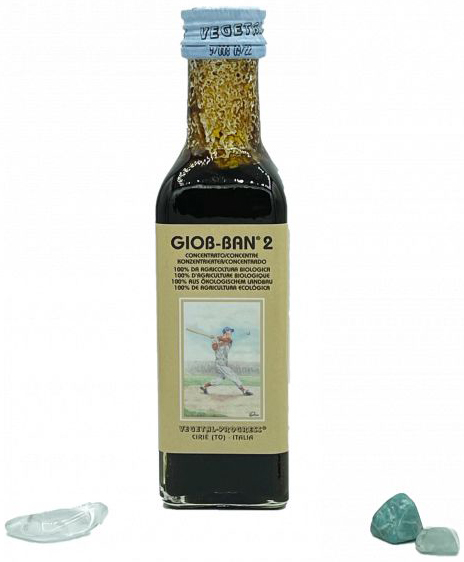 GIOB BAN 2 ART ESTRATTO CONCENTRATO BIOLOGICO 100 ML - farmasconti.eu
