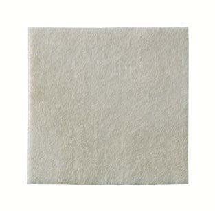 MEDICAZIONE BIATAIN ALGINATE AG ALGINATO CON ARGENTO 5X5CM 30 PEZZI - farmasconti.eu