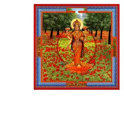 NEESHA-MA GOCCE 30 ML - farmasconti.eu