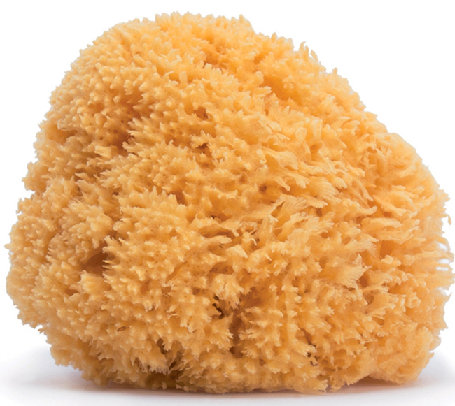 SUAVINEX HYGGE SPUGNA NATURALE MEDIA - farmasconti.eu