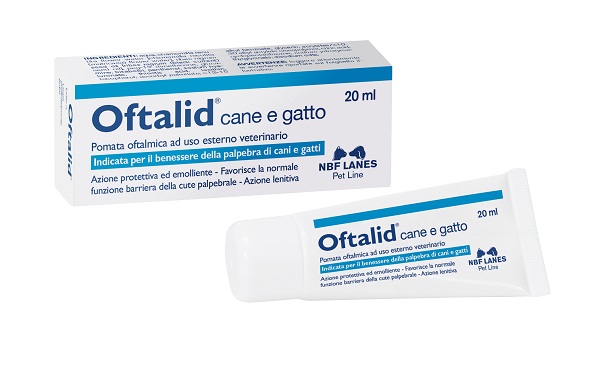 OFTALID POMATA OFTALMICA 20 ML - farmasconti.eu