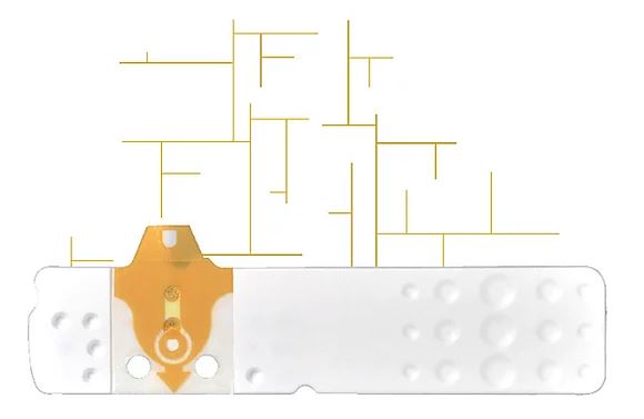 STRISCE MISURAZIONE GLICEMIA LINEA D ORO 50 PEZZI - farmasconti.eu