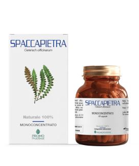 SPACCAPIETRA 50 CAPSULE - farmasconti.eu