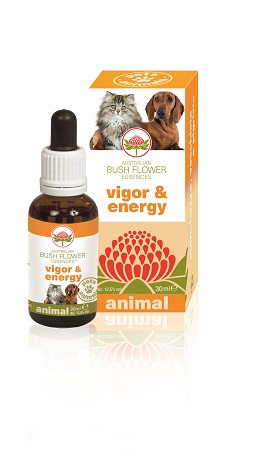VIGOR & ENERGY 30 ML - farmasconti.eu