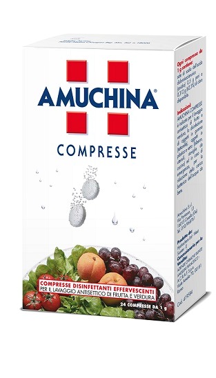 AMUCHINA COMPRESSE 1 G 24 PEZZI - farmasconti.eu