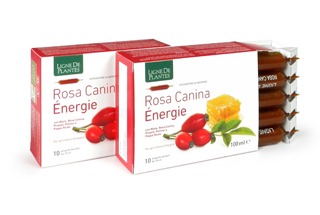 ROSA CANINA ENERGIE BIOLOGICO 10 AMPOLLE BEVIBILI DA 10 ML - farmasconti.eu