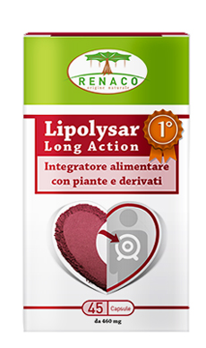 LIPOLYSAR LONG ACTION 45 CAPSULE - farmasconti.eu