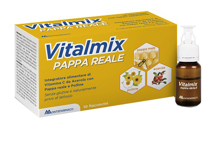 VITALMIX PAPPA REALE 10FLACONCINI X10 ML S/GL - farmasconti.eu