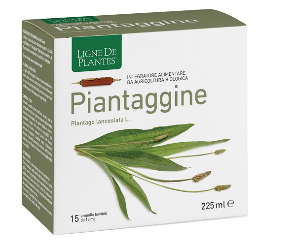 PIANTAGGINE 15 AMPOLLE BEVIBILI 15 ML - farmasconti.eu