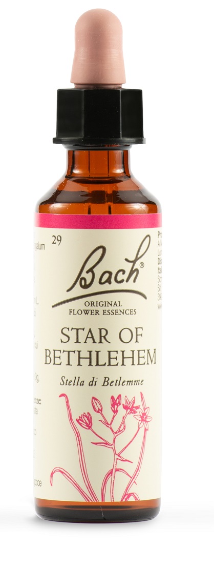 STAR OF BETHL ORIG 20 ML - farmasconti.eu