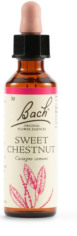 SWEET CHEST BACH ORIG 20 ML - farmasconti.eu