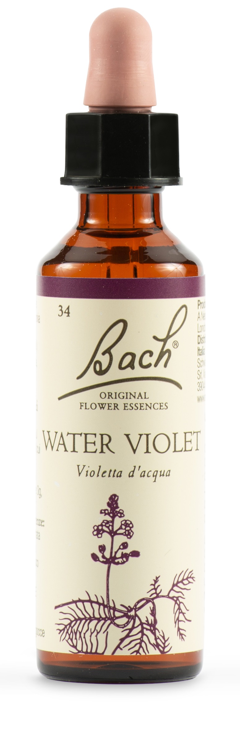 WATER VIOL BACH ORIG 20 ML - farmasconti.eu
