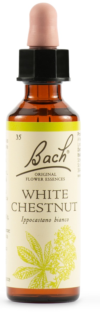 WHITE CHEST BACH ORIG 20 ML - farmasconti.eu