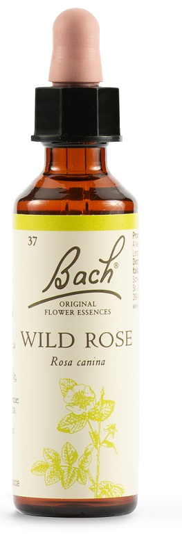 WILD ROSE BACH ORIG 20 ML - farmasconti.eu