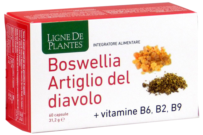 BOSWELLIA ARTIGLIO DIAVOLO VITAMINE B2 B6 B9 60 CAPSULE - farmasconti.eu