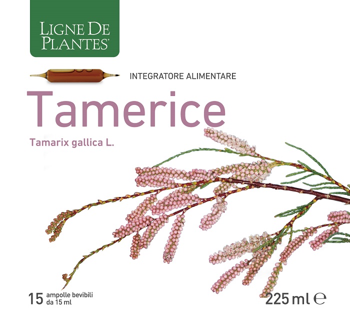 TAMERICE 15 AMPOLLE 15 ML - farmasconti.eu