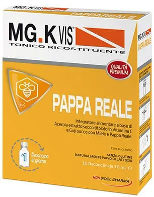 FRUVIS FORTE PAPPA REALE 10 FLACONCINI 10 ML - farmasconti.eu