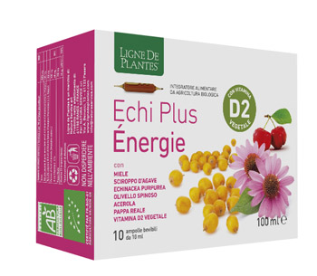 ECHI PLUS ENERGIE 10 AMPOLLE DA 10 ML - farmasconti.eu
