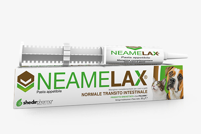 NEAMELAX PASTA 30 G - farmasconti.eu