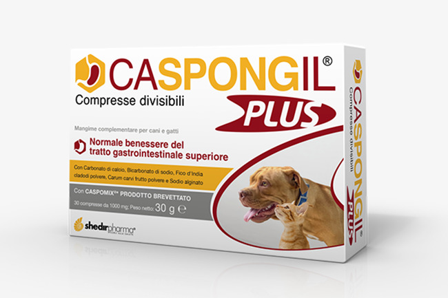 CASPONGIL PLUS 30 COMPRESSE - farmasconti.eu