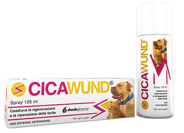 CICAWUND SPRAY 125 ML - farmasconti.eu