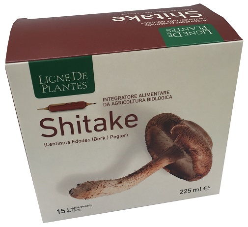 LIGNE DE PLANTES SHITAKE BIO 15 AMPOLLE DA 15 ML - farmasconti.eu
