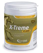 X-TREME FLAME POLVERE BARATTOLO 450 G - farmasconti.eu