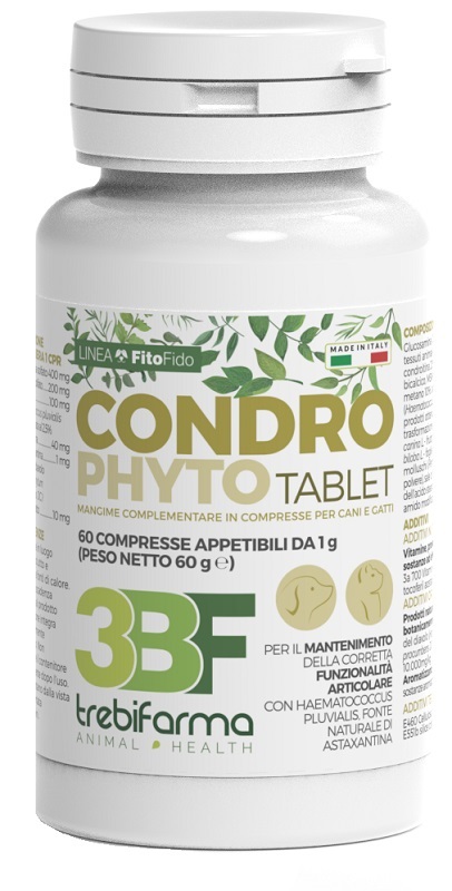 CONDROPHYTO 60 COMPRESSE DA 1 G - farmasconti.eu