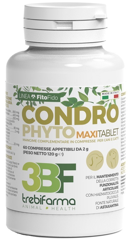 CONDROPHYTO 60 COMPRESSE 2 G - farmasconti.eu