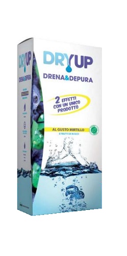 DRYUP MIRTILLO 300 ML - farmasconti.eu